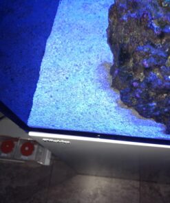 Chemi-Clean - 2 g 2g 68 712DCxgPr4L