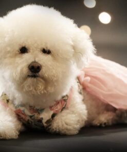 Savage Seamless Background Paper - #20 Black (53 in x 36 ft) 53 in x 36 ft 41 712DghQySqL