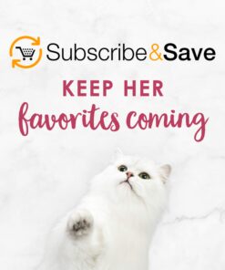 Purina Fancy Feast Dry Cat Food Filet Mignon Flavor with Seafood and Shrimp - 7 lb. Bag Filet Mignon, Seafood & Shrimp 7.00 Pound (Pack of 1) 34 712Dp4BKAVL