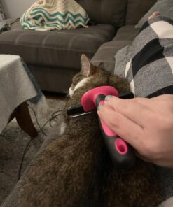 DakPets Pet Deshedding Tool | Professional Cat and Dog Brush for Shedding | Fur Deshedding Brush and Pet Hair Remover for Cats and Dogs | Stainless Steel Cat and Dog Shedding Brush for Pet Grooming Hot Pink 43 712Ftfa1s8L