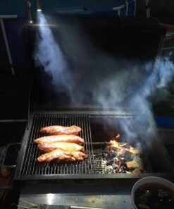 IMAGE Magnetic Ultra-Bright Barbecue Grill Light with Super Bright LED Lights, Magnetic Base Flexible Gooseneck BBQ Light for Grilling,Adjustable Any Gas,Charcoal,Electric Grill White- 1 Pair 36 712HRfbovuL