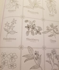 Coloring Book of Shadows 27 712K1c7l2aL