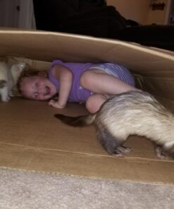 Little Tikes Big Digger Sandbox, White 38 712L4vCjWaL