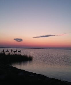 LG Stylo 2 Prepaid Carrier Locked - Retail Packaging (Virgin Mobile) 15 712LpZn2trL