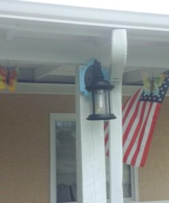 Westinghouse Lighting 6230600 New Haven One-Light Exterior Wall Lantern on Steel with Clear Seeded Glass, Black,Oil Rubbed Bronze Finish, (1 Pack) 27 712Q3eqhbQL