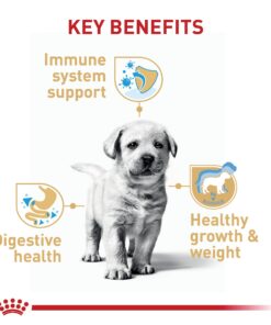Royal Canin Labrador Retriever Puppy Breed Specific Dry Dog Food, 30 lb. bag 26 712QhxEmUwL