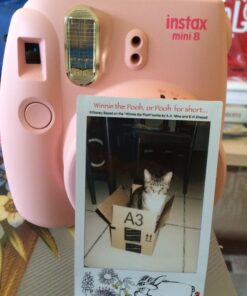 Fujifilm Instax Mini Film Winnie The Pooh 13 712R 8aKSRL