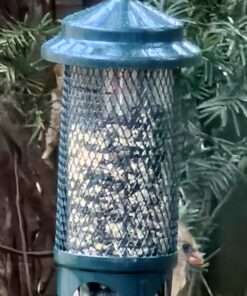 Squirrel Buster Standard Squirrel-proof Bird Feeder w/4 Metal Perches, 1.3-pound Seed Capacity, garden green 24 712Ra DXOL