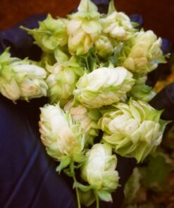 AMMEX Black Nitrile Exam Gloves, Box of 100, 3 Mil, Size Large, Latex Free, Powder Free, Textured, Disposable, Non-Sterile, Food Safe, ABNPF46100BX Large (Pack of 100) Beaded Cuff 29 712S55dZvDL