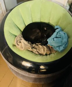 INTEX 68581EP Inflatable Empire Chair: Durable Outdoor Use – 2-PLY Laminate – Velvety Surface – Flocked Construction – Green 28 712WOEKG2tL