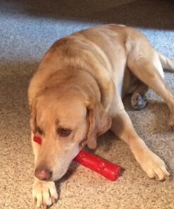 KONG - Squeezz Stick - Strong Squeaky Dog Toy, Squeaks even if punctured - For Large Dogs (Assorted Colors) 25 712Wn8ClZeL