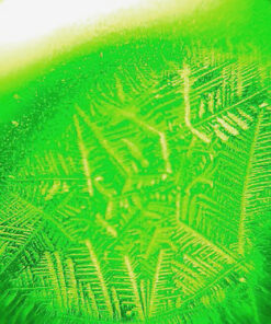 Fairhaven Health Fertile Focus Ovulation Test Kit - Women's Fertility Tracker and Predictor - 3 Days in Advance - Ovulation Kit - Accurate, Reusable Home Saliva Test - Results in Five Minutes 44 712XJGho6wL