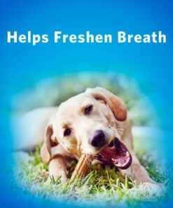 Purina DentaLife Made in USA Facilities Large Dog Dental Chews, Daily - (4) 18 ct. Pouches 18 Count (Pack of 1) 30 712Zabwp4fL