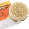 Dry Brushing Body Brush - Best for Exfoliating Dry Skin, Lymphatic Drainage and Cellulite Treatment - Organic Spa Exfoliator and Massage Scrub Brush with Natural Boar Bristles 1 Count (Pack of 1)