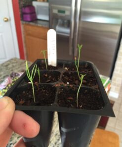 Plant Theatre Bonsai Tree Kit - Indoor Plant Growing Kit w/ 3 Mini Bonsai Seed Packs, 6 Pots, 6 Peat Discs and 6 Propagator Bags - Gardening Gifts for Men, Women and Room Decor - Crafts for Adults 41 712cx7rEpLL