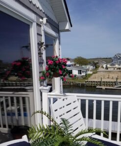 Nearly Natural Bougainvillea Basket Silk 1 Artificial Hanging Plant, 32 x 32 x 24, Green, Pink 60 712dIHx5kmL