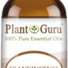 Plant Guru Frankincense 10 ml Undiluted Pure Therapeutic Grade Essential Oil 21 712dNmewi6L