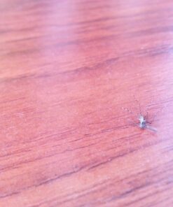 Charcoal Companion Amazing Handheld Electric Bug Zapper Fly Swatter Zap Mosquito - Kill Insects On Contact Pest Control- PBZ-7 Yellow 14 712dk5Mj33L