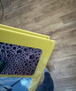 National Geographic Little Kids First Big Book of Why (National Geographic Little Kids First Big Books) 33 712fBK95WfL