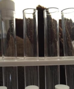 SEOH 16 X 125mm Plastic Test Tubes with Caps, 25 Pack 18 712fGxw6AL