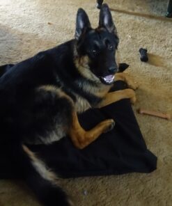 ZINUS 5 Inch Memory Foam Mattress, Fiberglass Free, Bunk Bed, Trundle Bed, Day Bed Compatible, Twin, White 50 712hDUccBIL