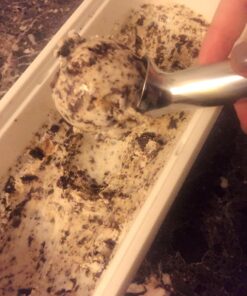 Zeroll, Size 20, in Silver 1020 Original Ice Cream Unique Liquid Filled Heat Conductive Handle Simple One Piece Aluminum Design Easy Release 40 Scoops per, 2-Ounce 29 712iEH4BSjL