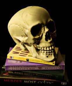 Prextex 6.5" Plastic Skull Head Halloween Decor | Realistic Life-Size Skeleton Skull Halloween & Day of The Dead Decoration | Scary Human Skull Replicas Skeleton Decor | Head Skulls Decor 32 712l61x2dUL 1