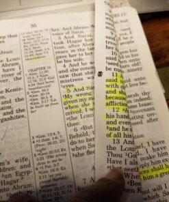 Amazon Basics Chisel Tip, Fluorescent Ink Highlighters, Assorted Colors - Pack of 12 12 Pack 39 712o3vQVI3L