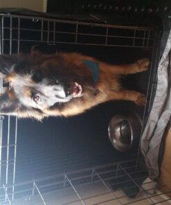 MidWest Homes for Pets Dog Crate Cover, Privacy Dog Crate Cover Fits MidWest Dog Crates, Machine Wash & Dry, Black, 48-Inch 28 712p2YngQL