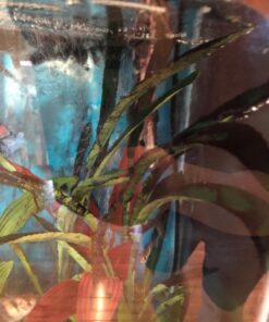 Chemi-Clean - 2 g 2g 47 712syyzILpL