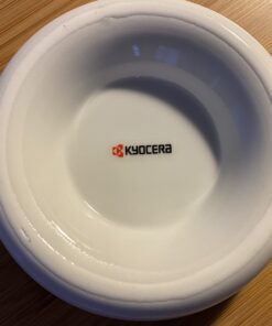 Kyocera 3.5” Ceramic Grater For Ginger, Cheese, Garlic, and More, Essential Kitchen Tool, White 3-1/2-Inch 31 712tsQLnnL
