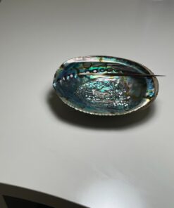 Hand Selected Abalone Shell, 6 Inches or Larger. Perfect for Holding Incense, Trinkets, and More 32 712xTAohRaL