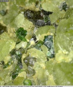 Dino Lite USB Hanheld Digital Microscope, 10x-220x Magnification 0.3MP/1.3MP/5.0MP True Resolution, Windows/Mac/iOS/Android Software Included, Supports PC, Tablet, Mobile Devices 1.3MP MT MS 26 712xwzoUgCL