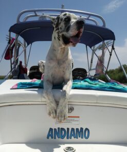 Skog Å Kust Premium PWC Dock Lines | 2-Pack Heavy Duty Braided Ropes, 1/2'' x 7ft & 14ft Lengths, with 316 Stainless Steel Clip 12mm (1/2 inch) dimeter rope 2-Pack: 7 & 14 ft Yellow & Green 23 712y N7rOUL