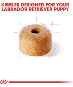 Royal Canin Labrador Retriever Puppy Breed Specific Dry Dog Food, 30 lb. bag 25 712yLi50ZRL