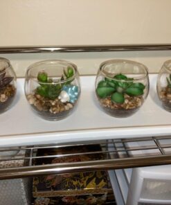 MyGift Assorted Artificial Succulent Fake Plant in Small Clear Glass Display Vases, Set of 4 32 712zQY1xm L