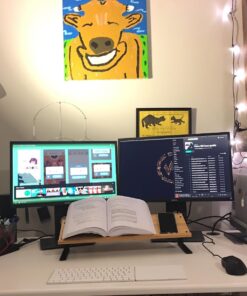 Rain Design 10038 mTower Vertical Laptop Stand - Space Gray 24 713 yRtgfnL