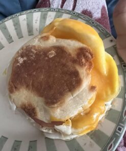 Hamilton Beach Dual Breakfast Sandwich Maker with Timer, Silver (25490A) 39 7131AzFOszL