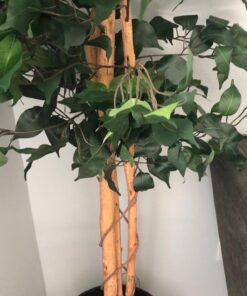 Nearly Natural 6ft. Ficus Artificial Trees, 72in, Green 72 in 40 7132t1F CKL