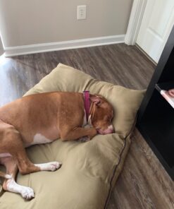 Majestic Pet Rectangle Large Dog Bed Washable – Non Slip Comfy Pet Bed – Dog Crate Bed Super Value Pillow Dog Bed – Dog Kennel Bed for Sleeping - Dog Bed Large Breed 46 x 35 Inch – Solid Khaki 46.0"L x 35.0"W x 7.0"Th 37 7136dxbZDzL