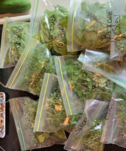 12 Culinary Herb Seeds Assortment - Non-GMO Herb Garden Starter Set - Grow Cooking Herbs: Parsley, Thyme, Cilantro, Basil, Dill, Oregano, Sage & More 51 7137kodnyL 3