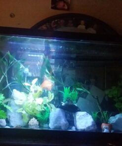 Fluval BioMax Biological Material Remover, 500 g - Biological Filter Media for Aquariums 28 71395t0M8bL