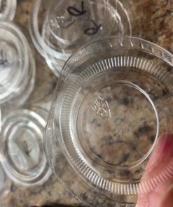 Polar Ice Jello Durable Plastic Shot Glasses, 2-Ounce, Translucent (Pack of 125) 13 7139JkzjeML