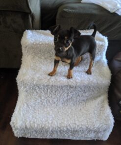 Etna Products JSNY Pet Stairs 3 Steps Stairs, Small Dog/Cat Steps White 29 7139dwhI0RL