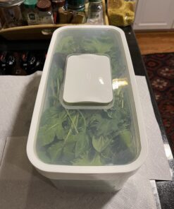 OXO Good Grips GreenSaver Produce Keeper - Large,White 52 713CceMvdzL