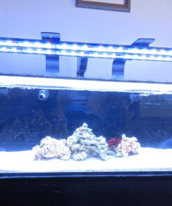 Current USA 36-48" Inch Orbit Marine LED Saltwater Reef Marine Aquarium Light | 24 Hour IR Lighting & eFlux Wave Pump Control | Adjustable Color Spectrum for Fish Tank (4102) Black 36 to 48-Inch 41 713GEcBZfNL