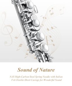 Eastar Piccolo Instrument for Beginners Students, Key of C Piccolo Flute, with Hard Case, Cleaning Rod, Cloth, Swab and Gloves, 2-Piece, Nickel Plated Piccolo, EPC-1 21 713GISfmB L