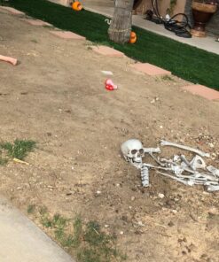 Kangaroo Halloween Bag of Skeleton Bones and Skull- Halloween Graveyard Props- Haunted House Lawn Yard Decorations- Scary Halloween Decorations 30 Pieces Bag of Plastic Bones 47 713GSmVaBfL