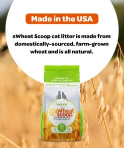 sWheat Scoop Natural Wheat Multi-Cat Litter, Superior Clumping with Odor Neutralizing Enzymes, 25 Pound Bag Multi Cat 17 713IKjKHQ7L