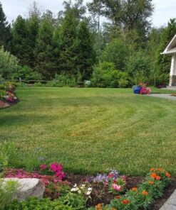 Scotts Halts Crabgrass & Grassy Weed Preventer, Pre-Emergent Weed Killer for Lawns, 5,000 sq. ft., 10.06 lbs. 5,000 sq. ft. 14 713IctGuCBL